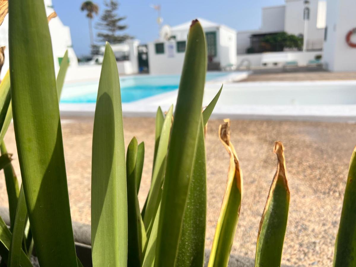 Las Mimosas Beach Sol Puerto del Carmen  Dış mekan fotoğraf